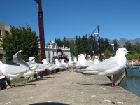 IMG_0768